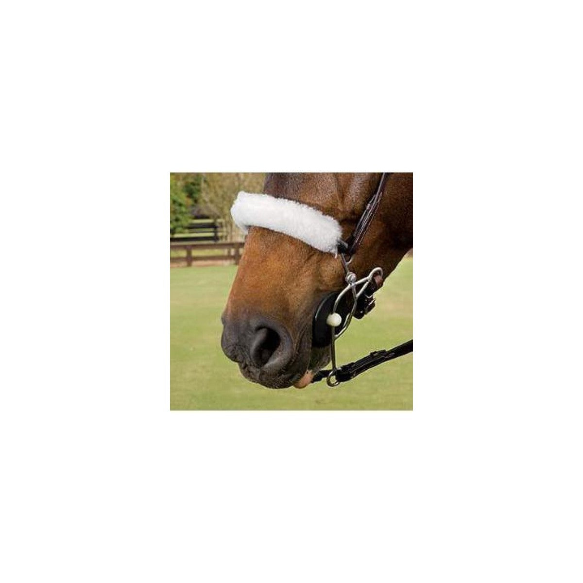 Noseband cover combinationsbid - MYLER