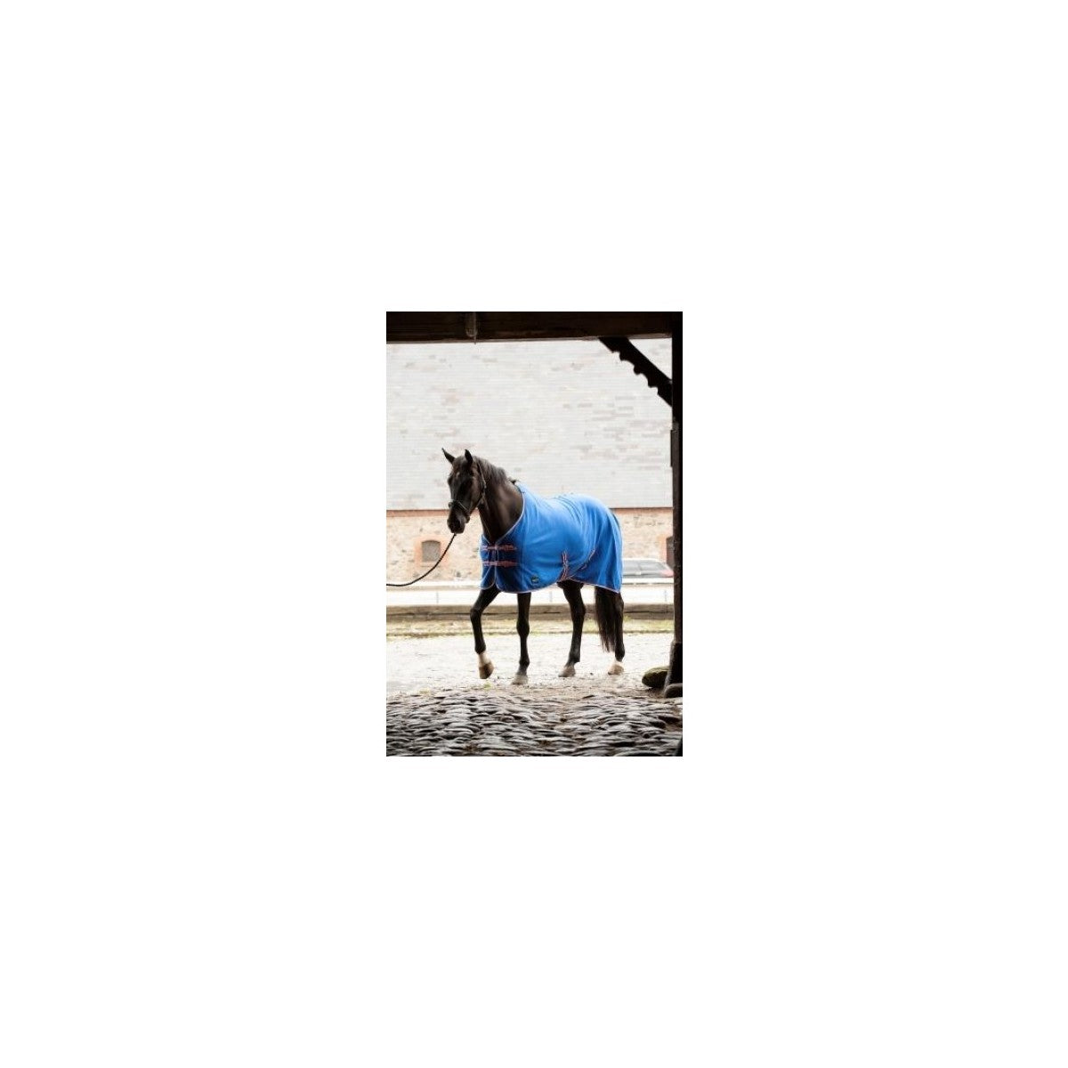 Catago Deluxe fleece - islandske farver