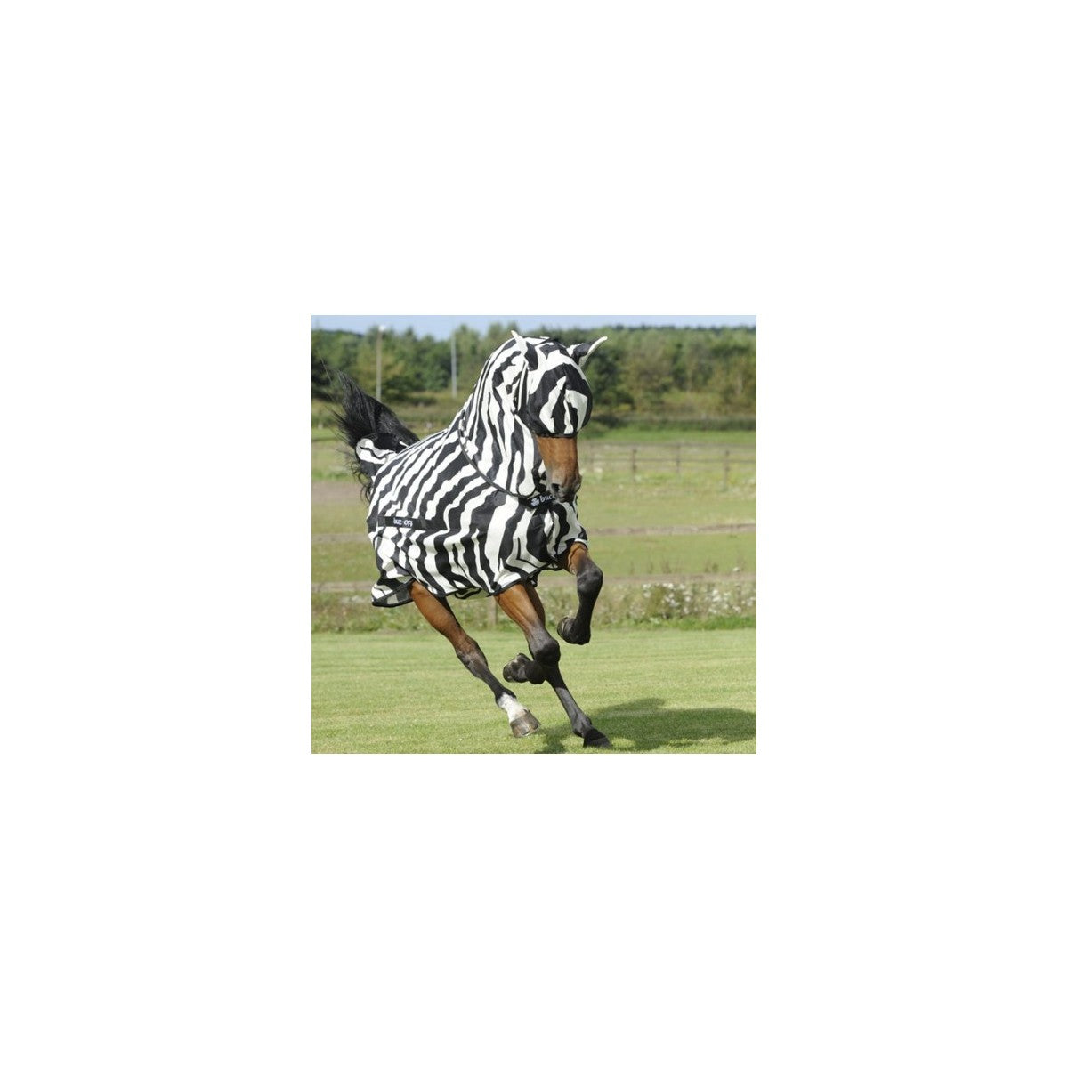 Bucas Buzz Off - Zebra fluemaske