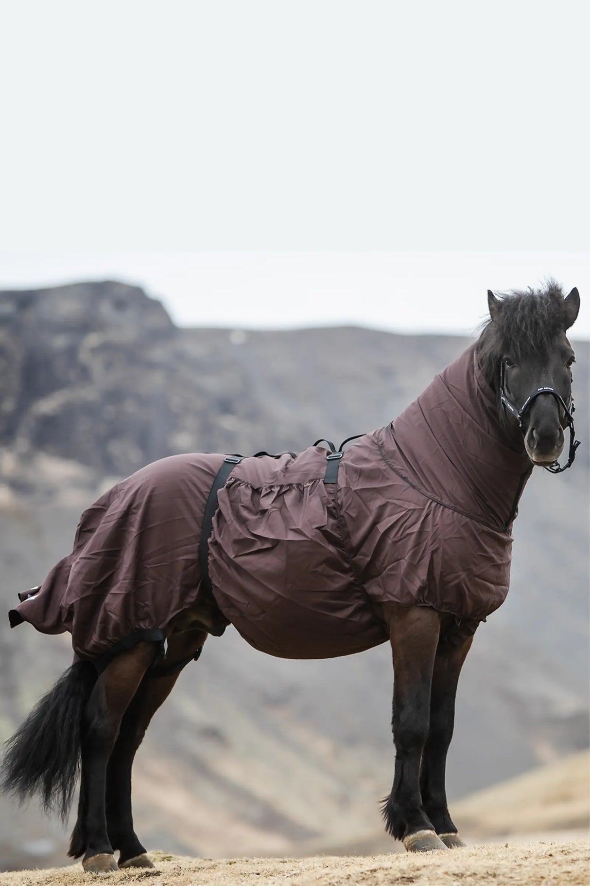 topreiter-eczemarug-brown_1920x1920