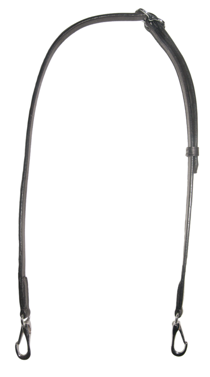 k301q-chr