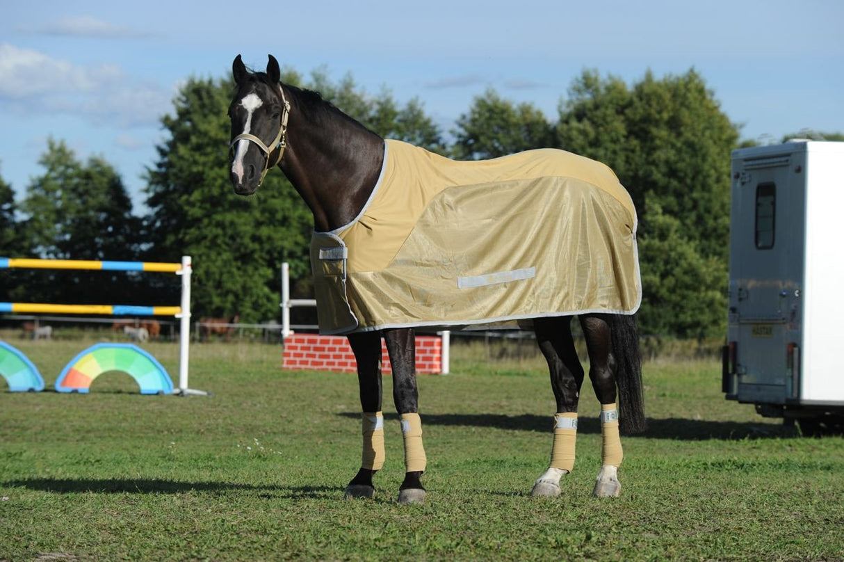 Competition_Cooler_Antelope_5689_2000x