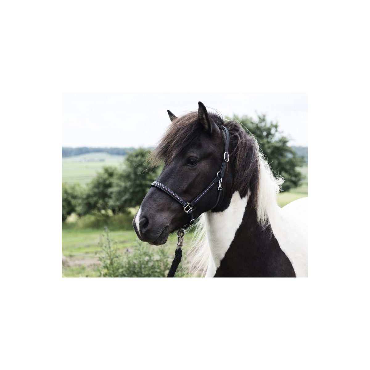 Lædergrime med icecolour sten