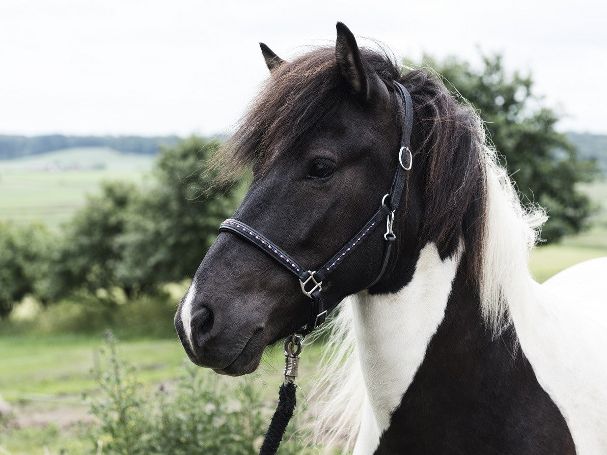 laedergrime-med-icecolour-sten_15