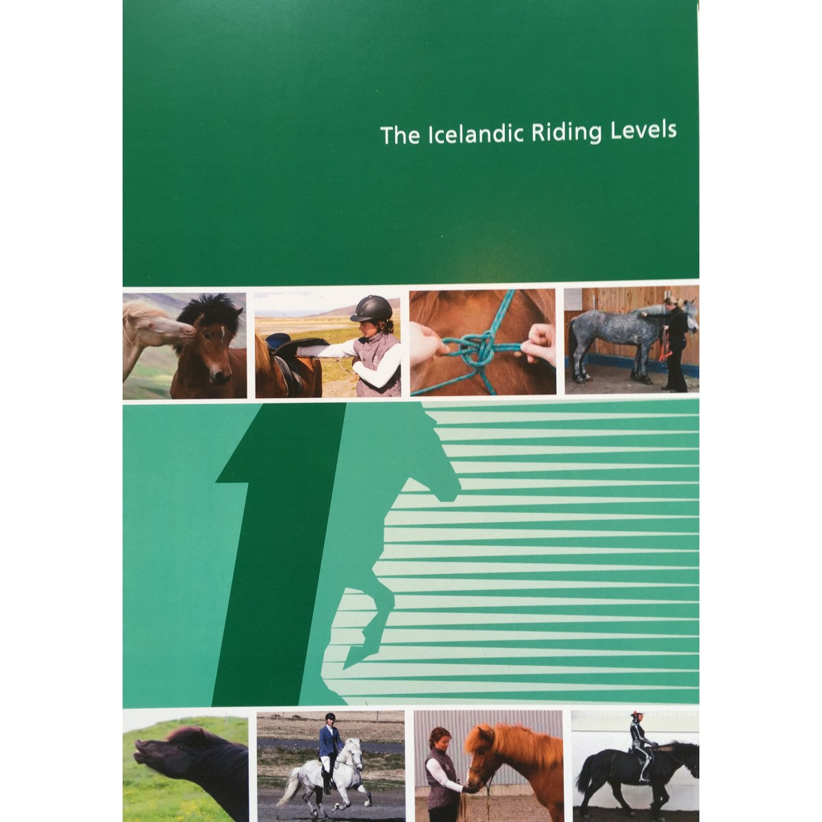 The Icelandic Riding Levels "1"