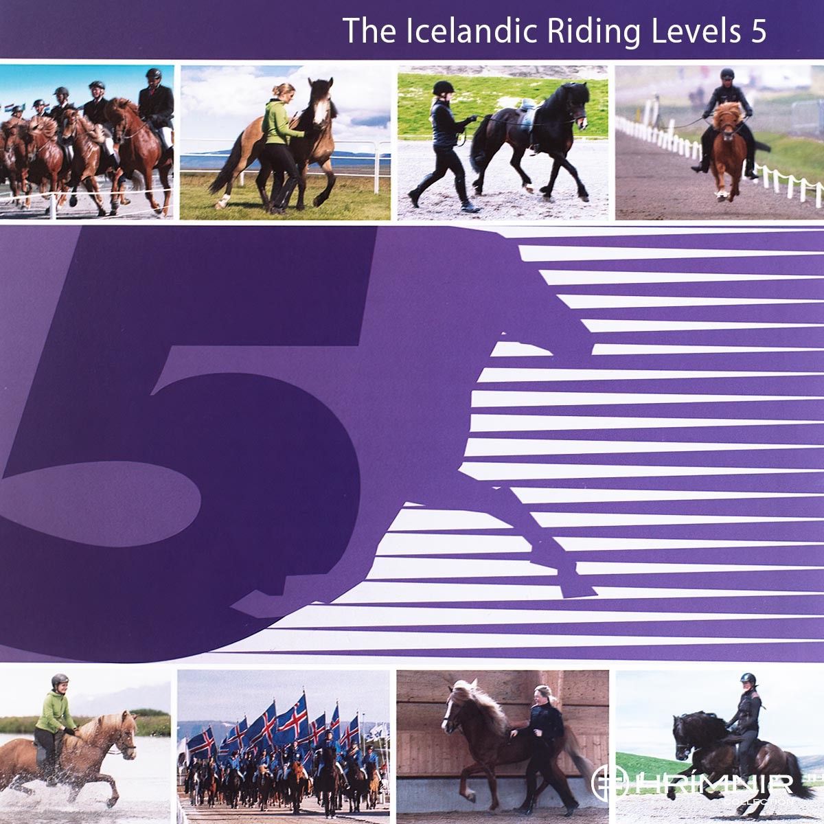 riding_level_5_close_front_new