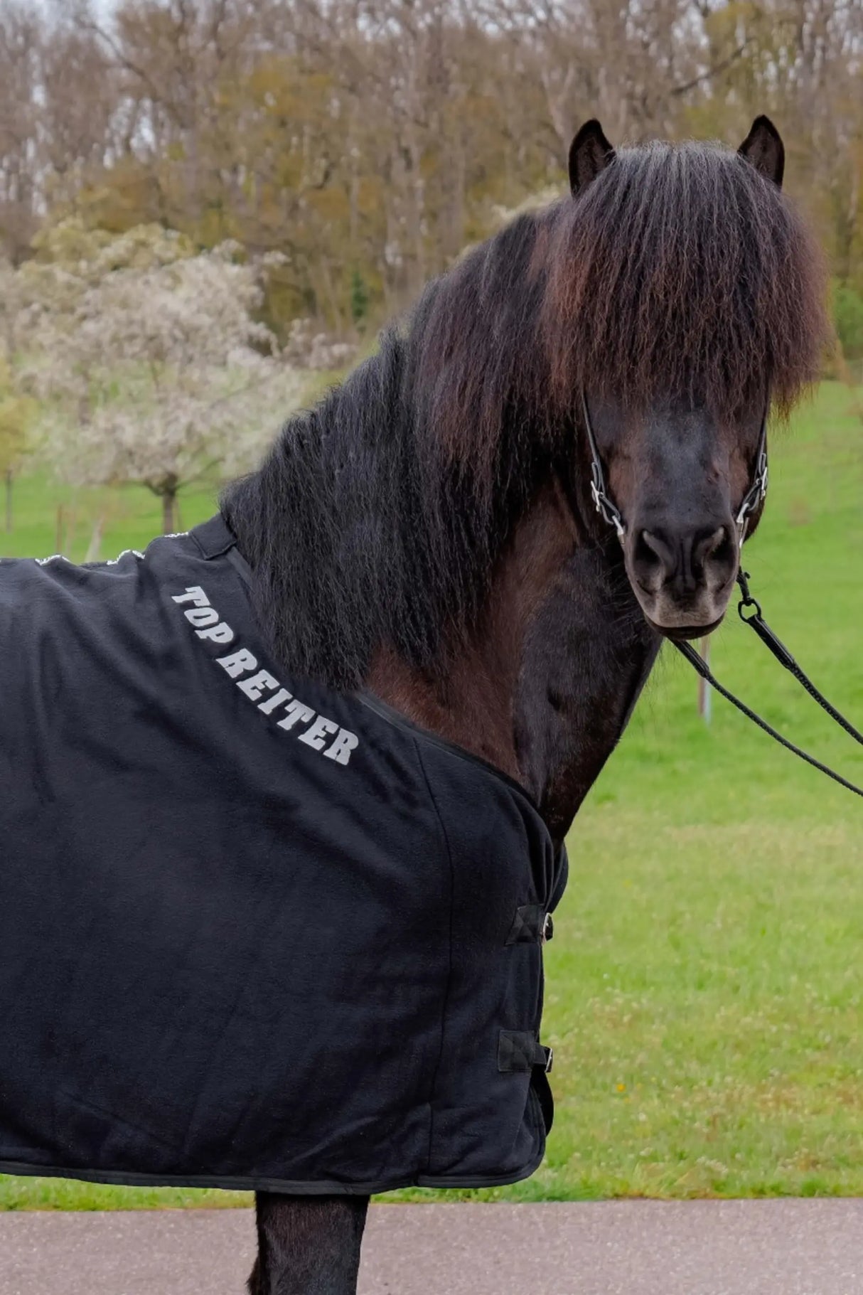 TopReiter Fleece dækken, nye farver
