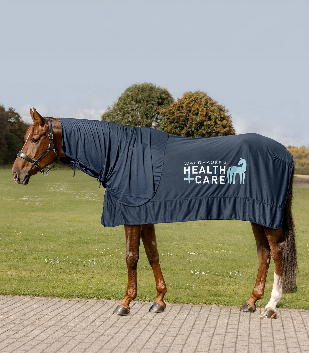 Waldhausen Health + Care Køledækken, str 115