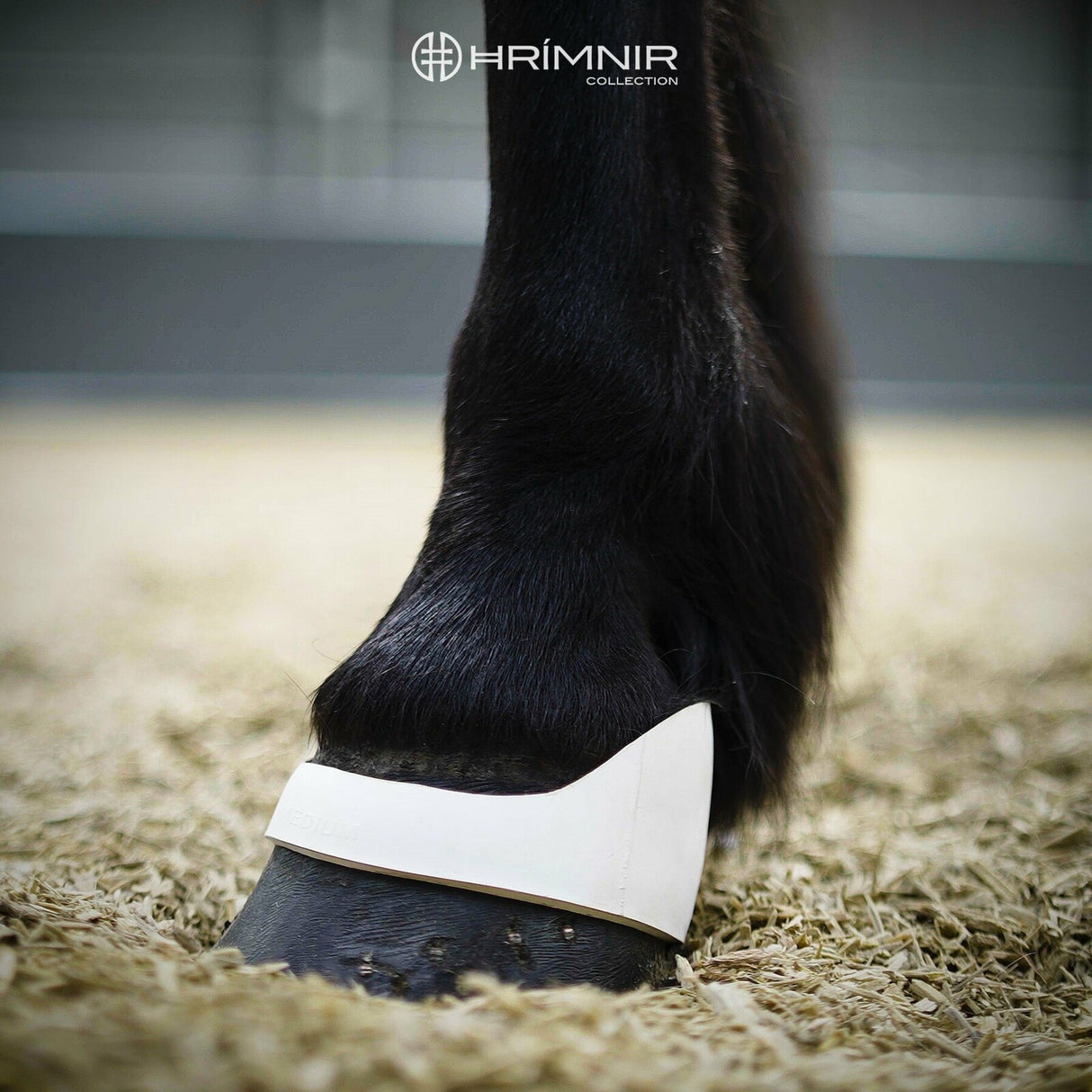qboots_stable2