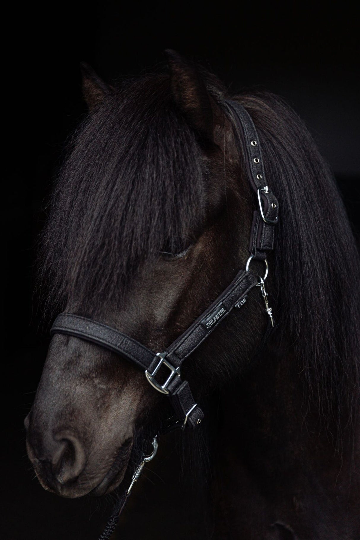 opreiter-halter-glitrandi-black-horse_1920x1920