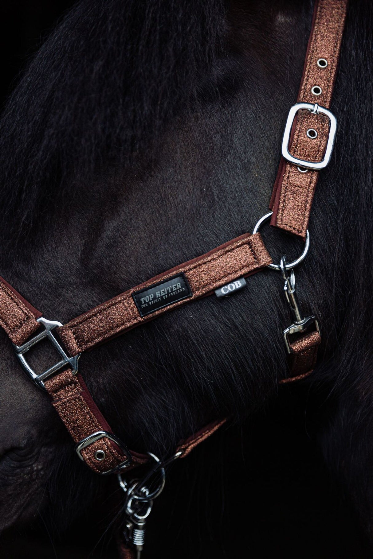 topreiter-halter-glitrandi-copper-horse-side_1920x1920