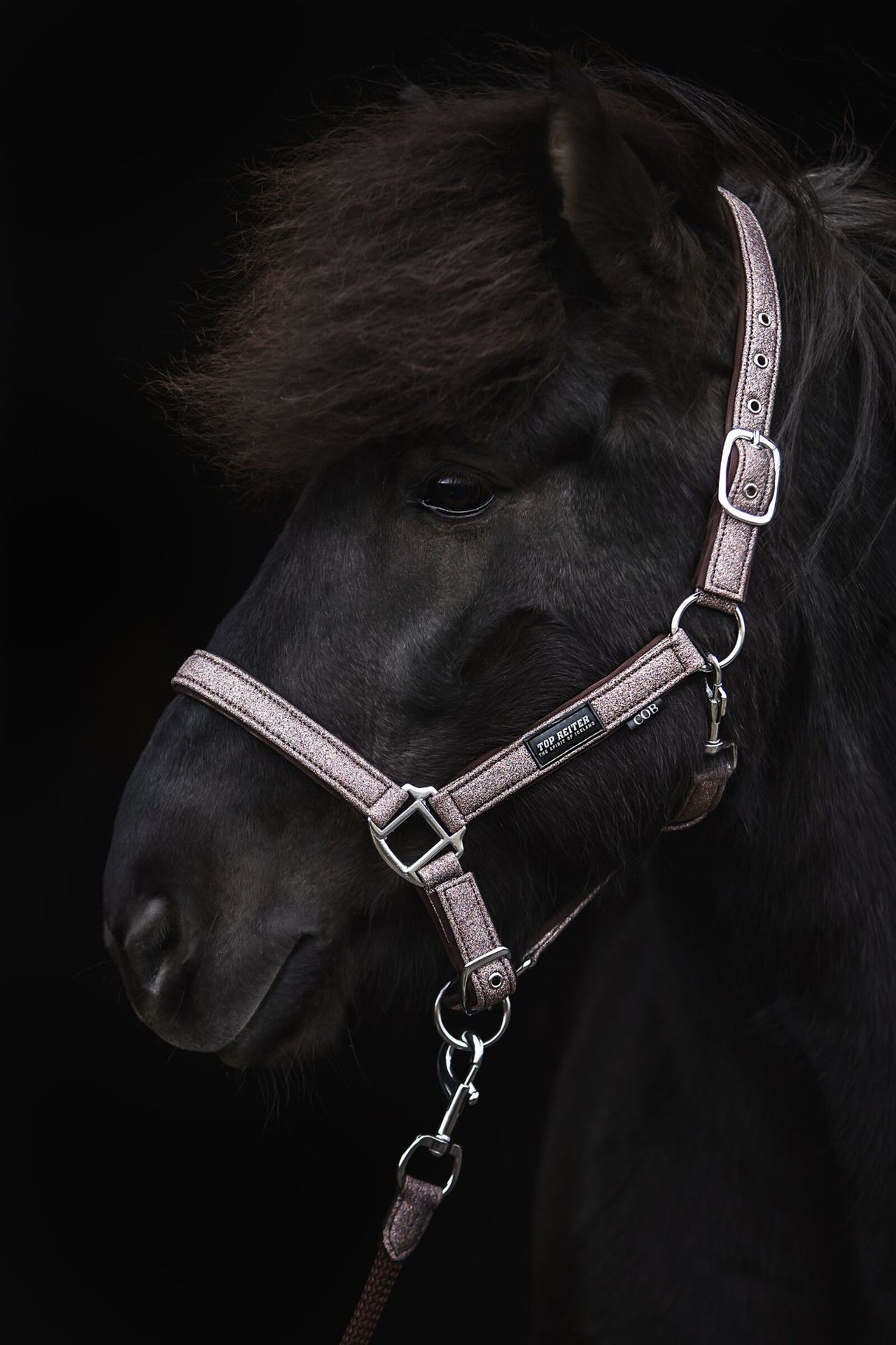 topreiter-halter-glitrandi-pink_1920x1920