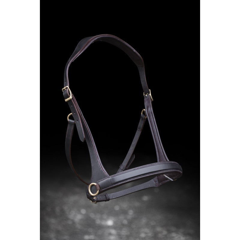 Sidepull Nordic Horse
