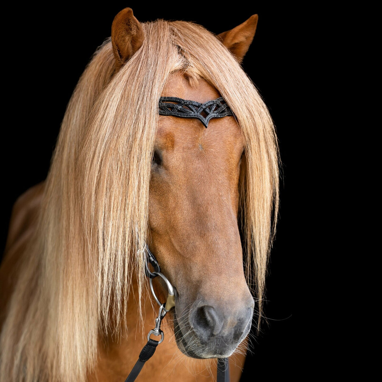 headstall_heritage_b_-_lava_square_funi