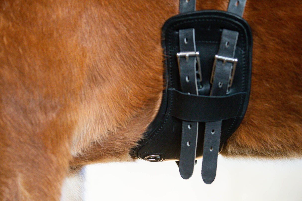 Flex-balance-girth-details