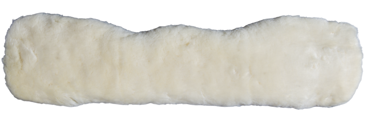 k2081-2
