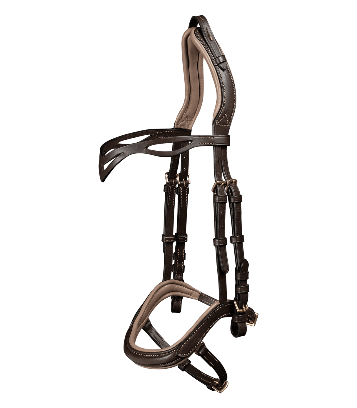 anatomisktrensebrun