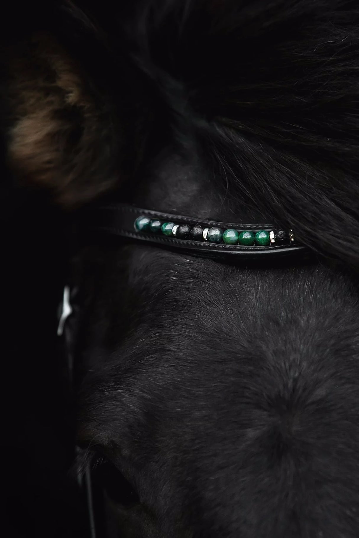 topreiter-orka-headstall-green_1920x1920 (1)