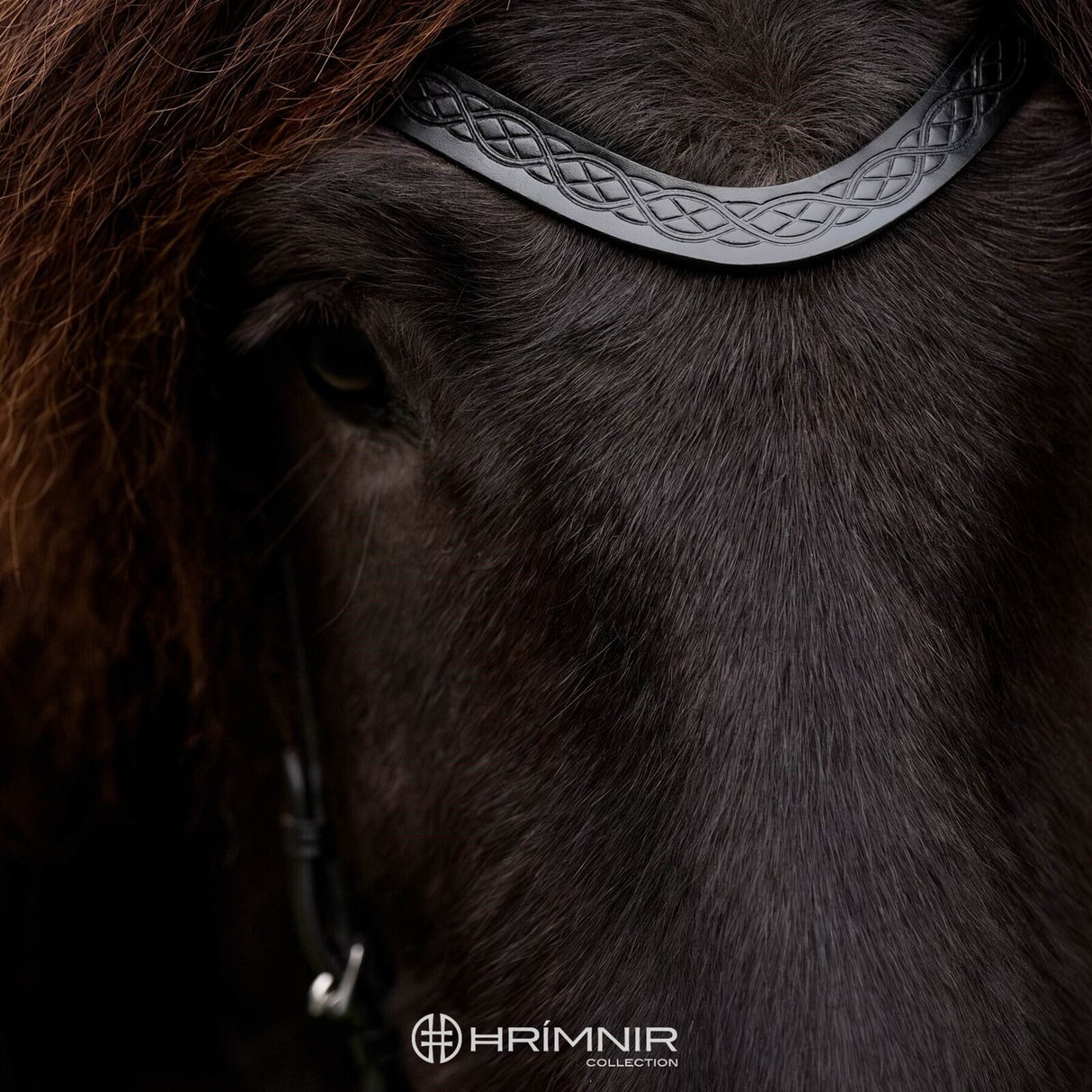 heritage_classic_1_watermark