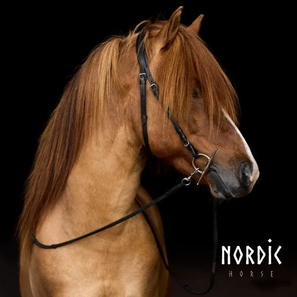 Nordic-Horse Full Cheek træningsbid
