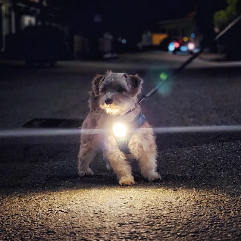 Meolinq Light Plus - Den ultimative lille lampe
