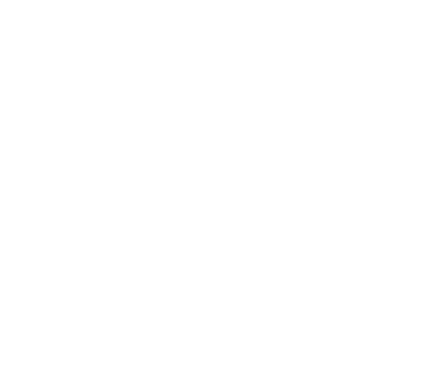 draumur logo