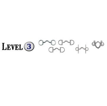Myler Bid Level 3