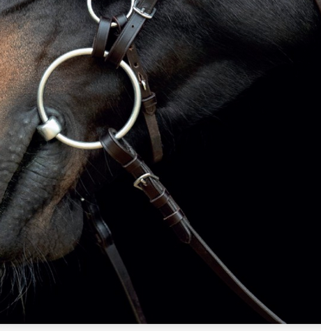 Gentle Bridle