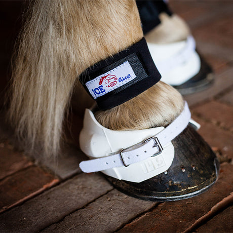 Boots - klokker