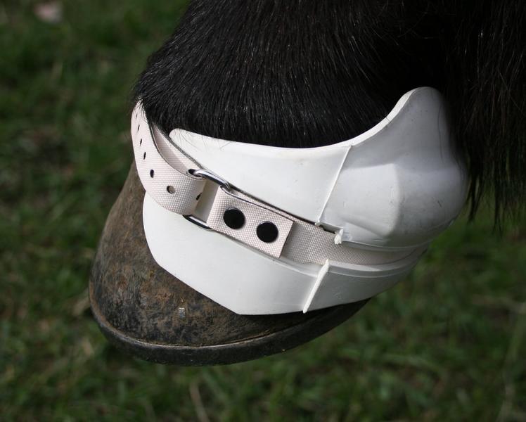 G-boots-white-800×600-1