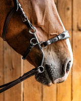 Fager Hunter Hackamore komplet