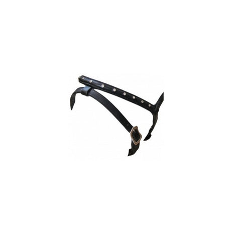 Stjarni fra Karlslund