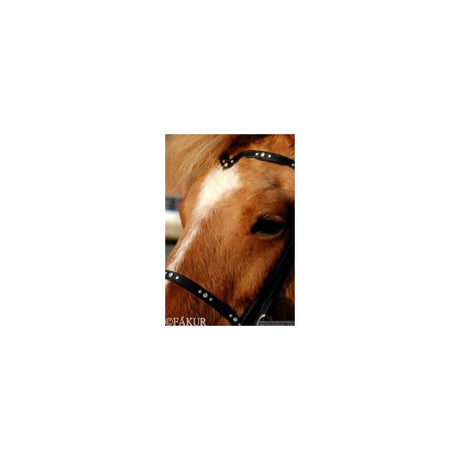 Julia - nakkerem/pandebånd - Nordic Horse