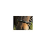 Julia - hannoveransk næserem - Nordic Horse