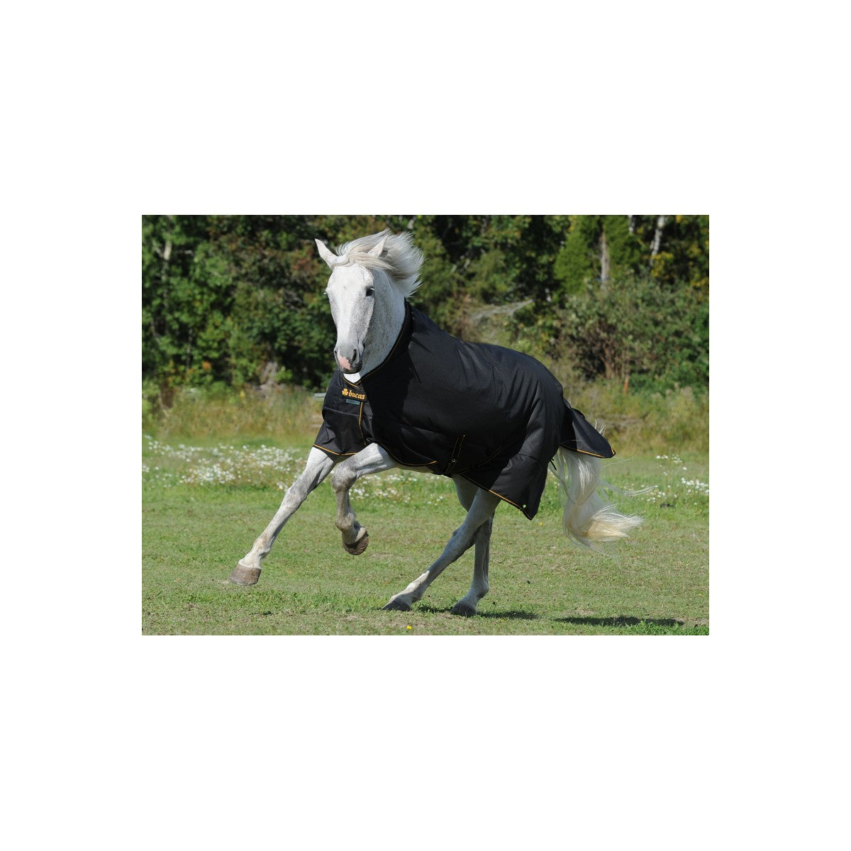 Bucas Irish Turnout Light 50 gram