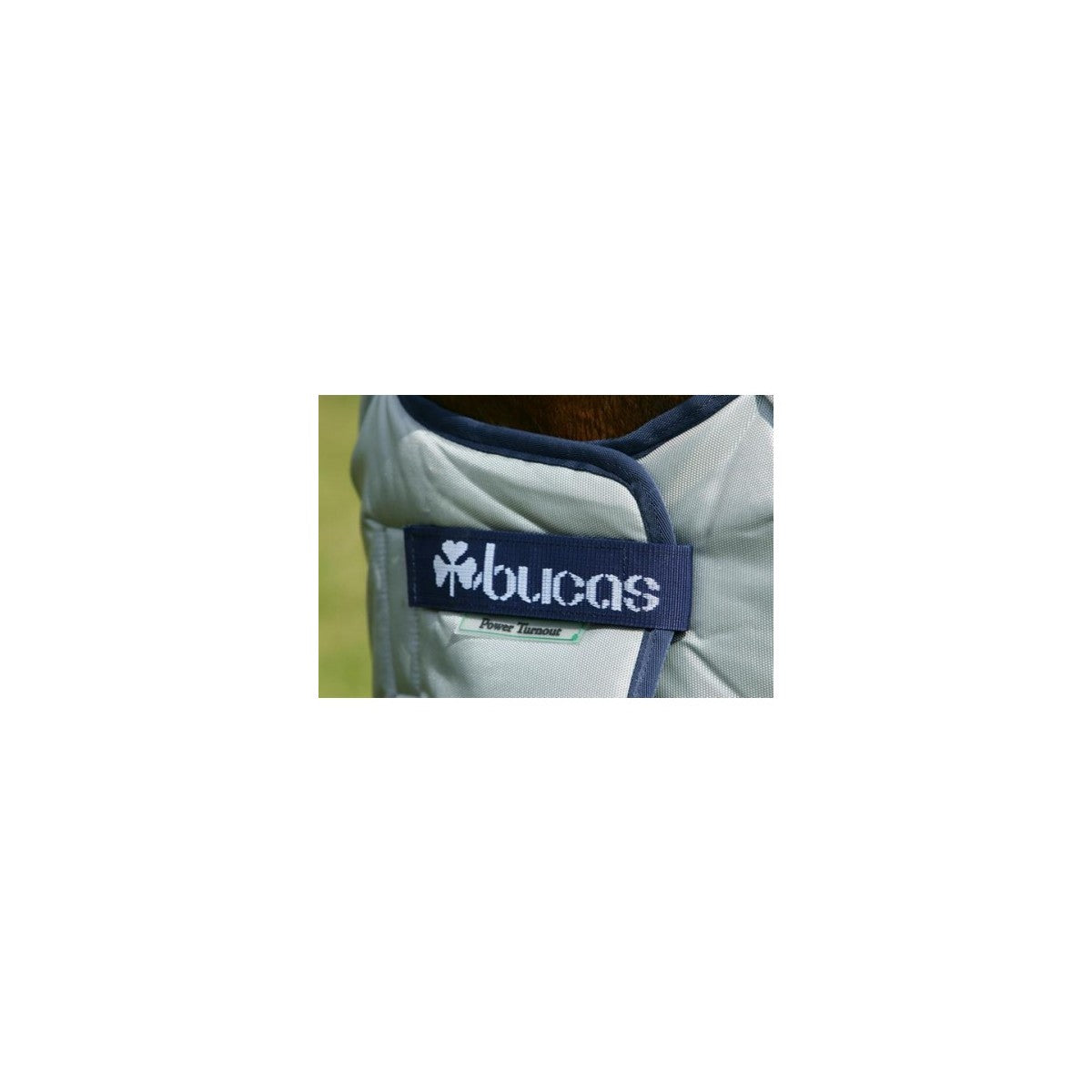 Bucas Power Turnout light