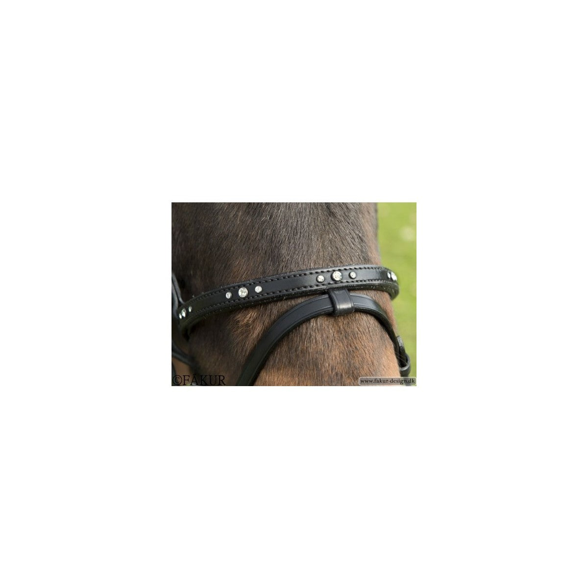 Julia - kombineret næserem - Nordic Horse