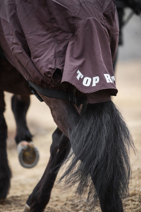 topreiter-eczemarug-brown-back-black_1920x1920