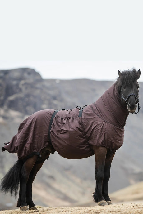 topreiter-eczemarug-brown_1920x1920