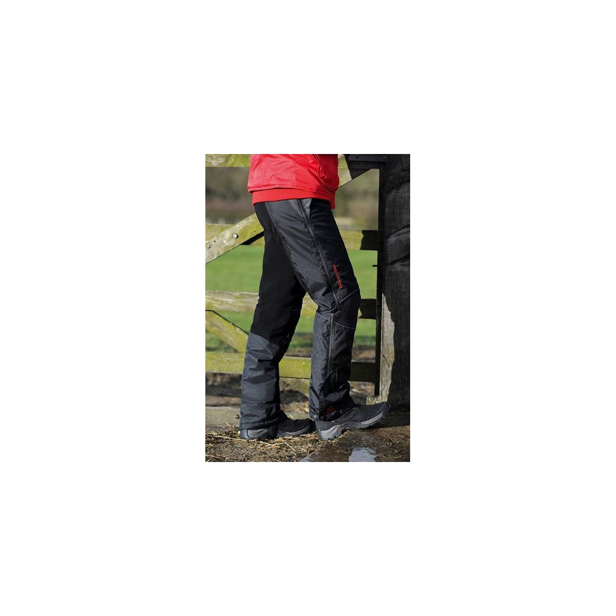 Polar Breeches - Mountain Horse