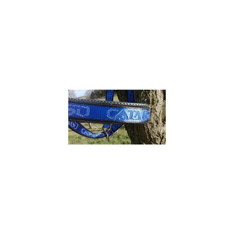 Catago grime - flotte farver