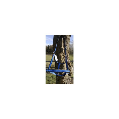 Catago grime - flotte farver