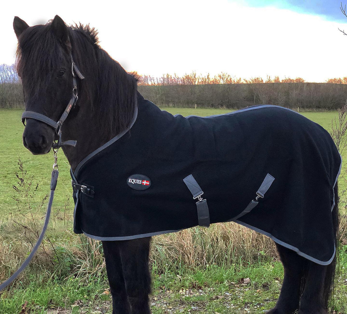 126128188_1471163136407864_699576396664524345_o