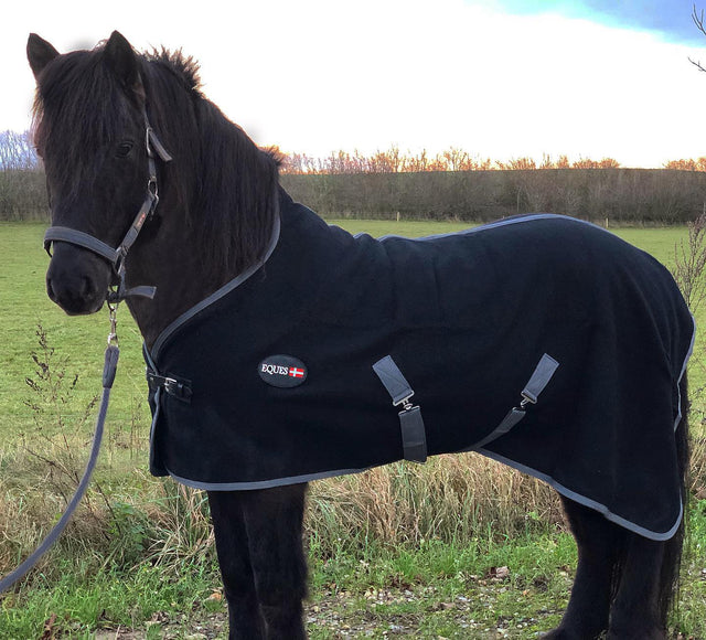 126128188_1471163136407864_699576396664524345_o