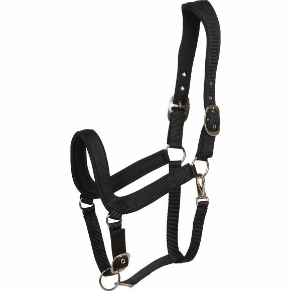 horseguard-anatomisk-grime