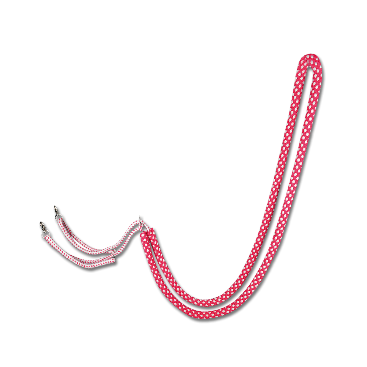 Lunging Aid