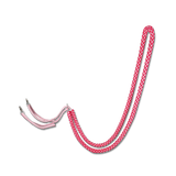 Lunging Aid