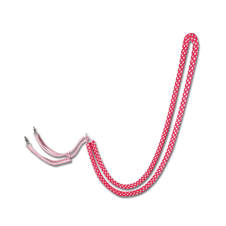 Lunging Aid