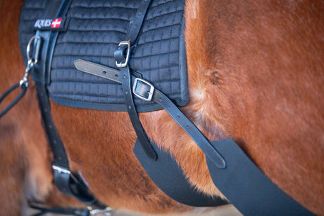 Core-training-longe-system-details