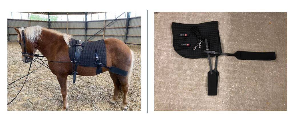 Eques-Core-Trainer-System